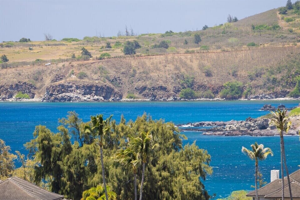 World famous Honolua Bay in the distance