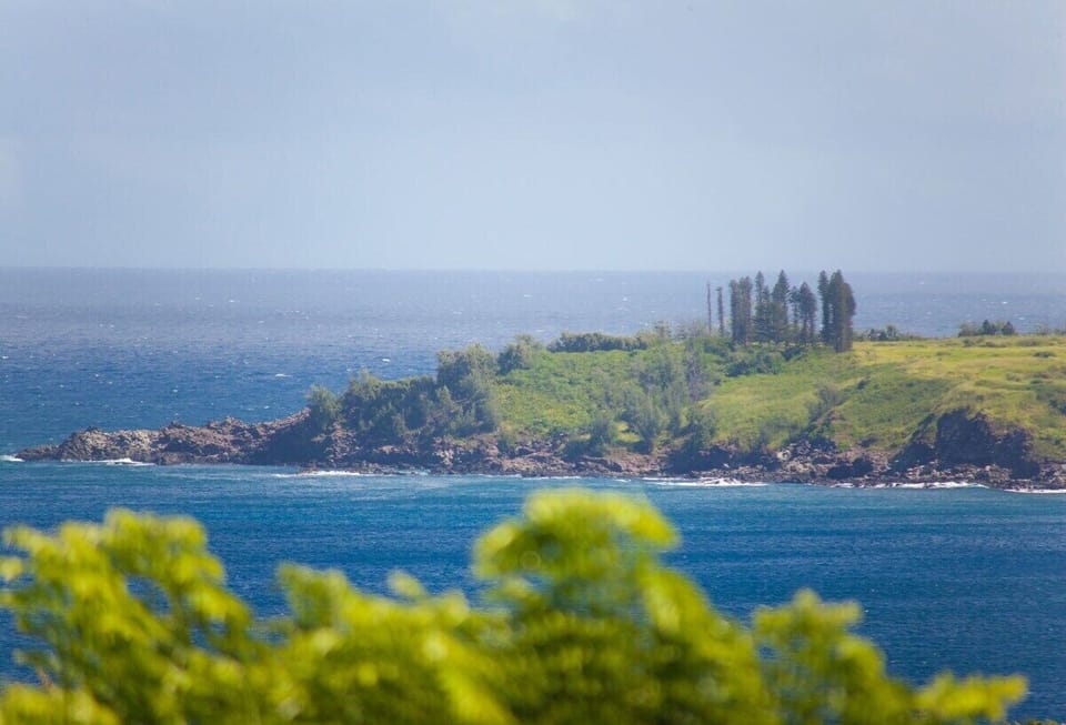 World famous Honolua Bay in the distance