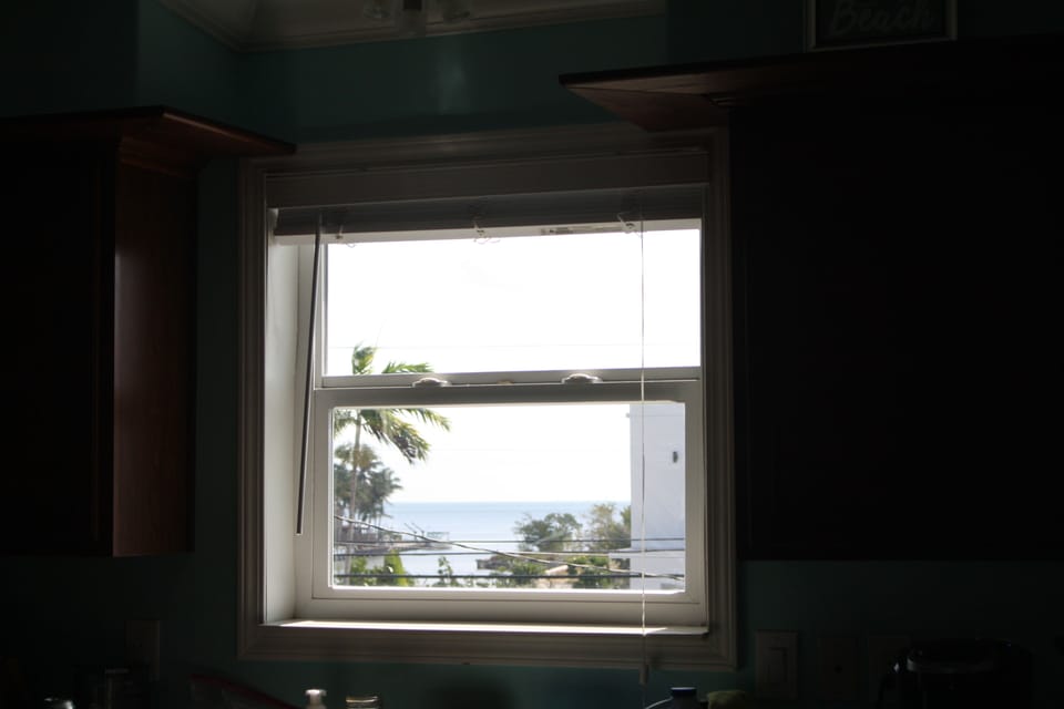 view out kitchen window
