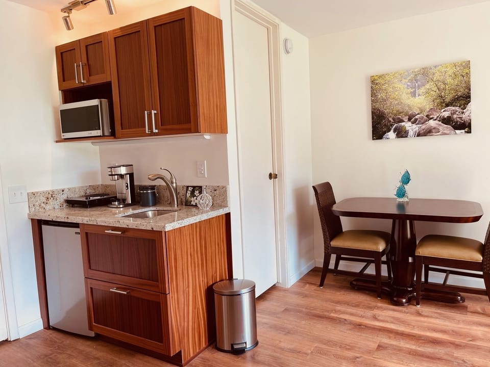 Kitchenette in downstairs master bedroom