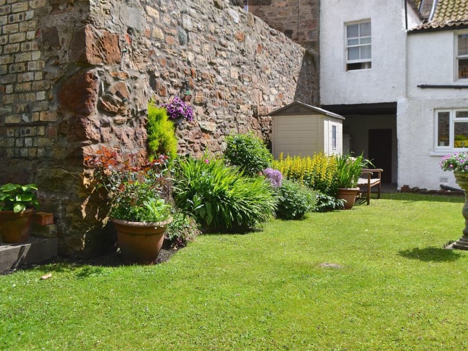 Back garden - Lower Level