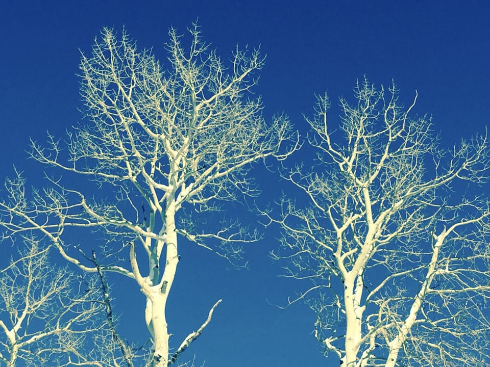 Colorado blue skies
