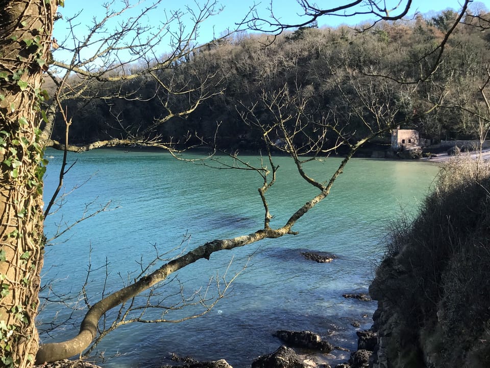 Elbery Cove
