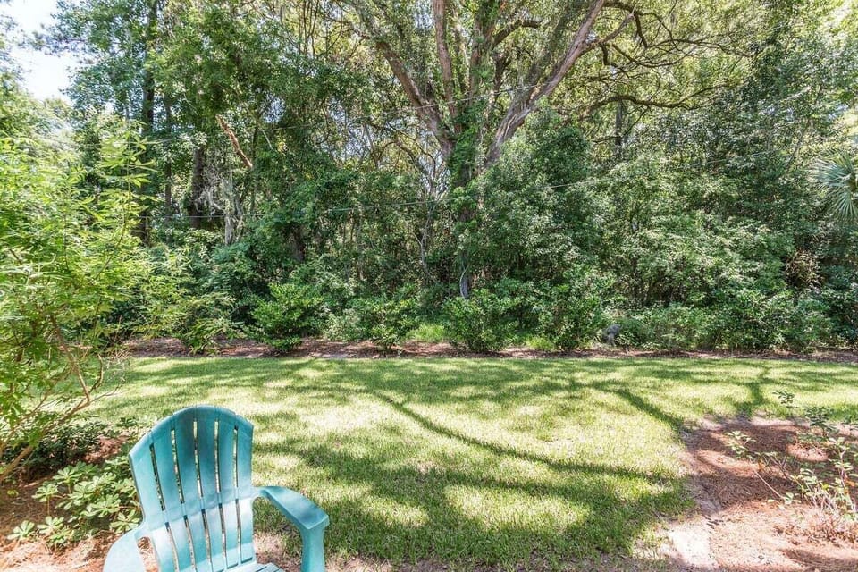 Backyard with chair and tree canopy