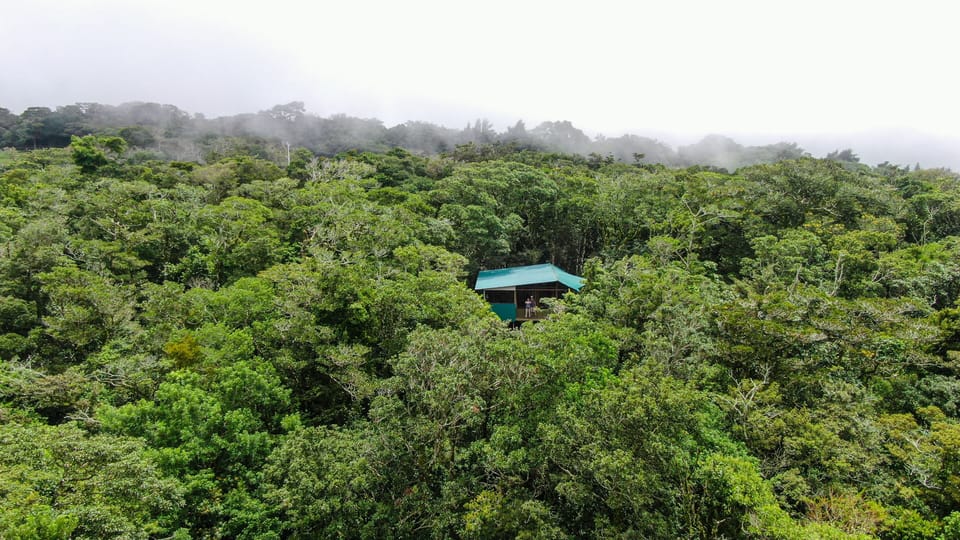 Panoramic Tree House, Garden View | Premium bedding, down comforters, laptop workspace, blackout drapes