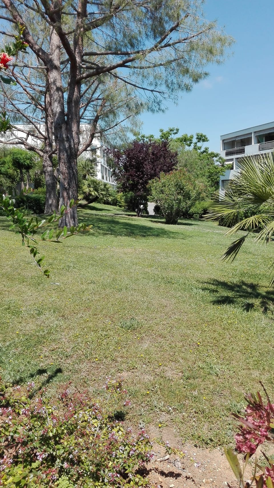 Property grounds