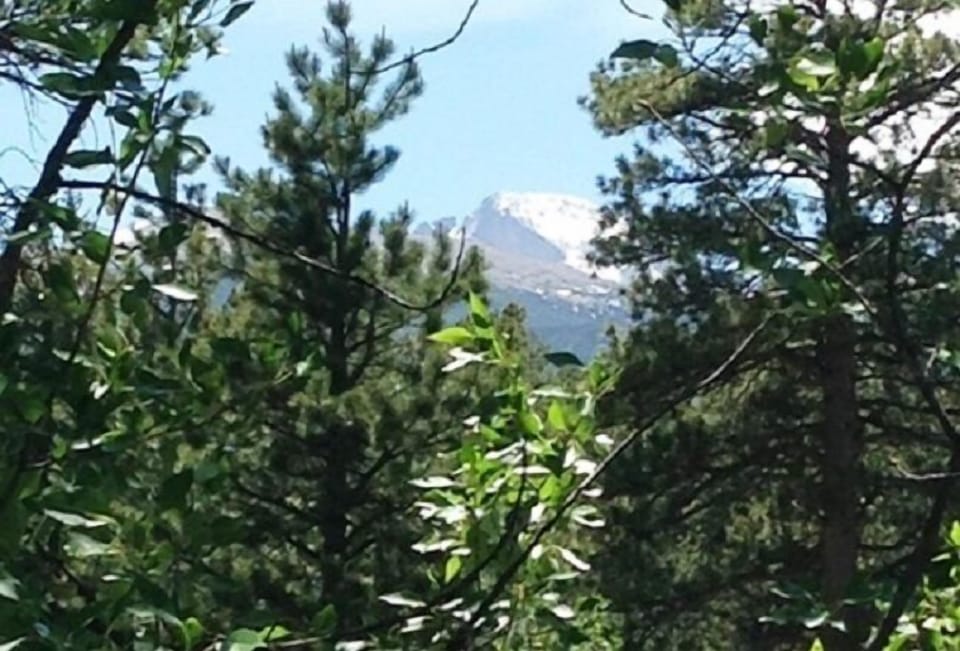 Lodge 204 | View from room