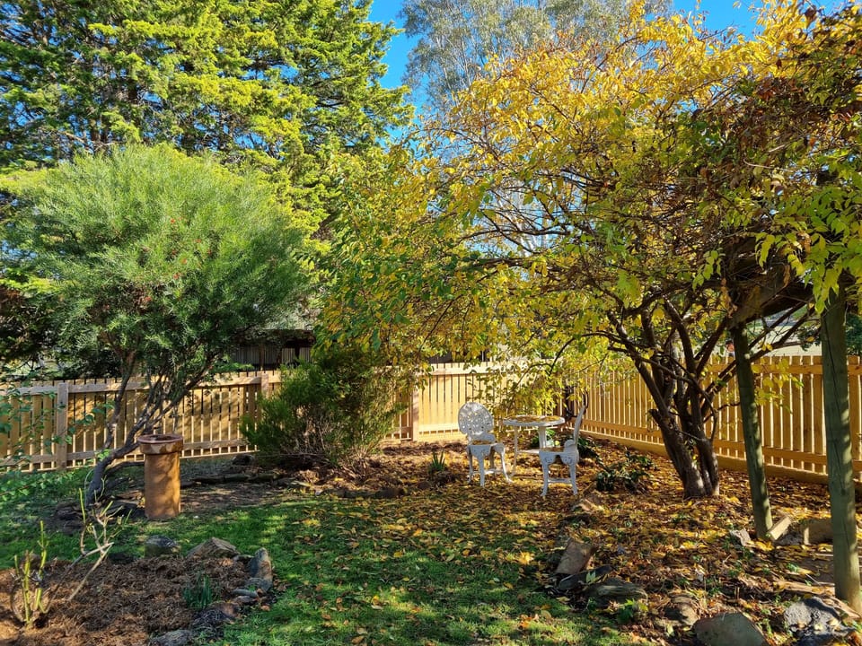 Secure backyard suitable for pets