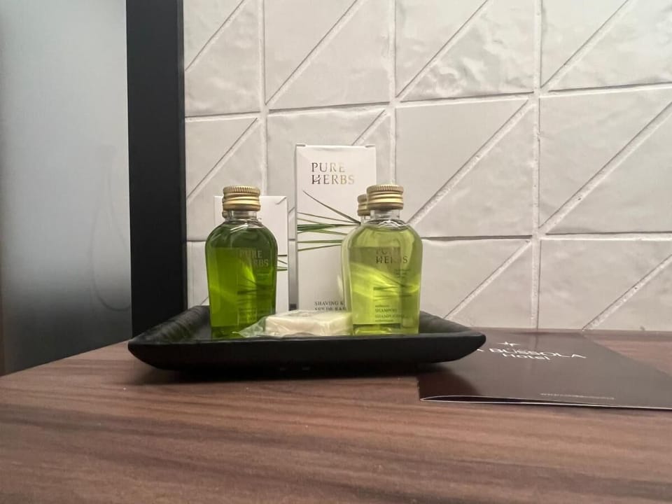 Free toiletries, hair dryer, slippers, bidet