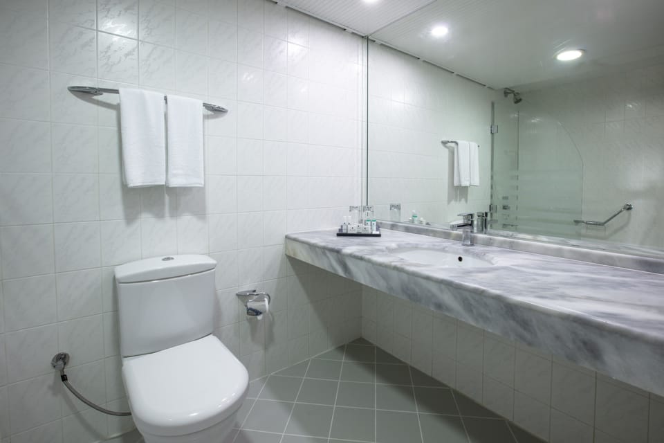 Bathtub, free toiletries, hair dryer, bidet