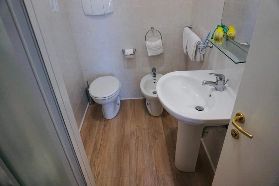 Rainfall showerhead, hair dryer, bidet