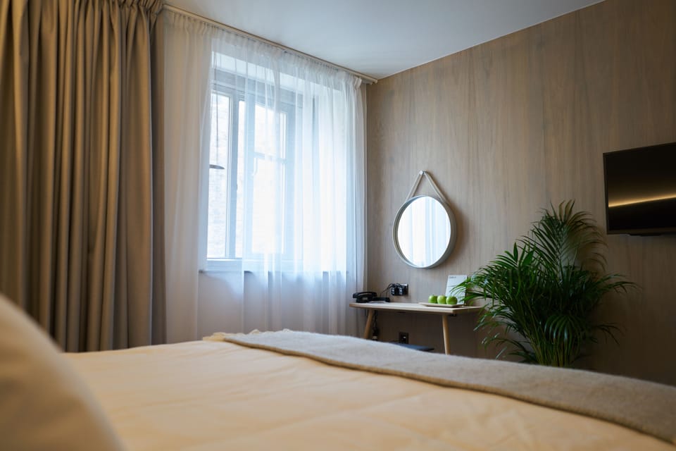 Minibar, desk, iron/ironing board, free WiFi