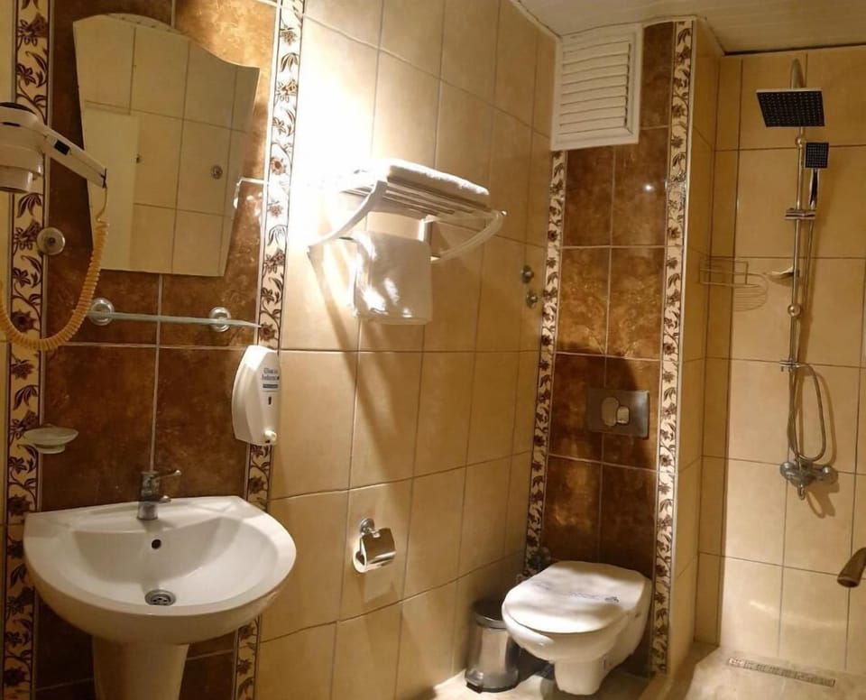 Standard Double Room | Bathroom | Shower, hydromassage showerhead, free toiletries, hair dryer
