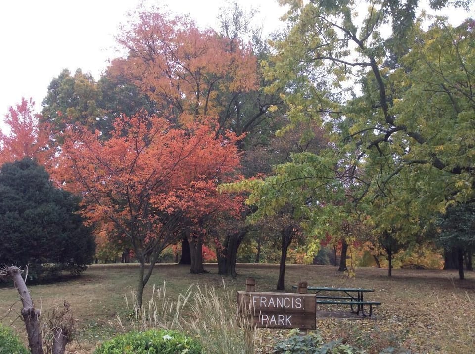 Francis Park 5 blocks from apartment - for tennis, playground, pickle ball, etc.