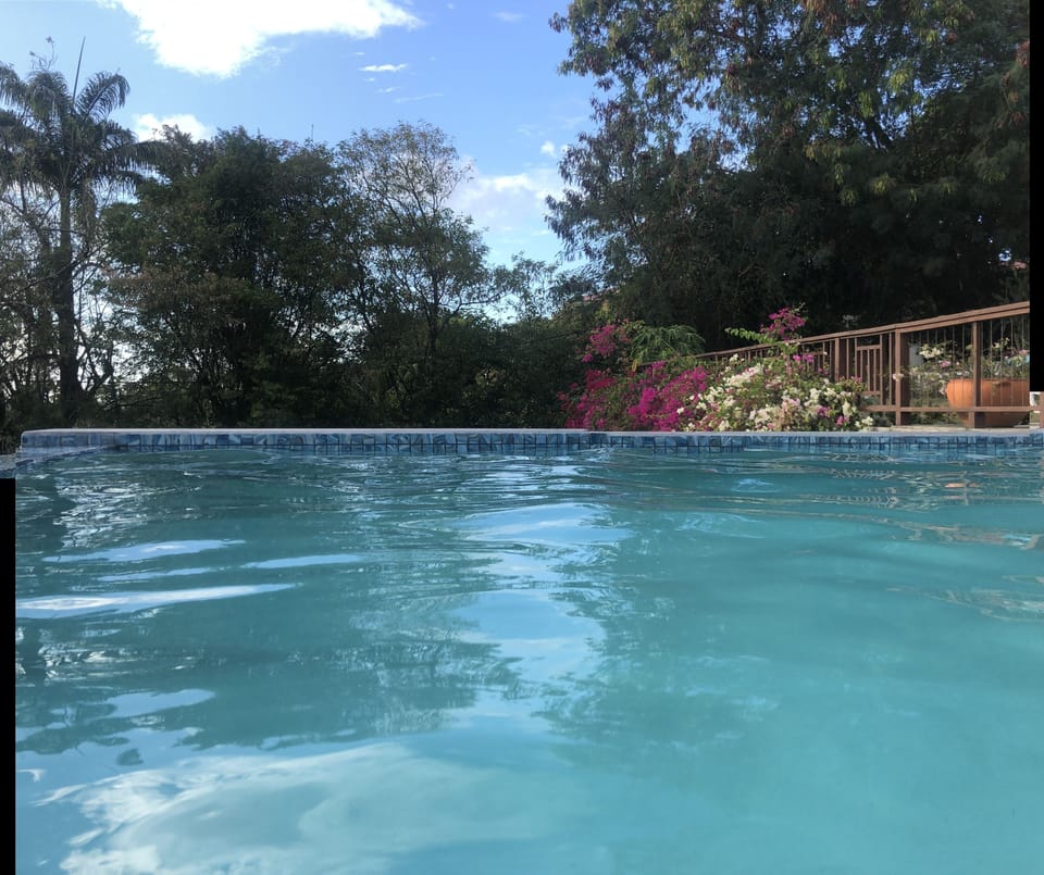 Swim elevated above the rain forest
