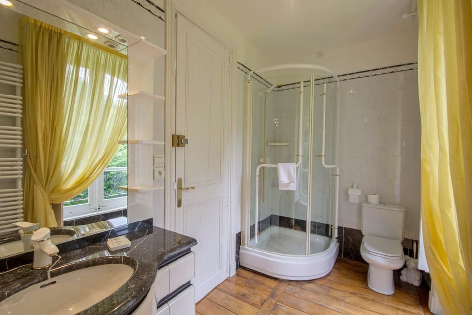 Deluxe Double Room (Van Gogh) | Bathroom | Shower, free toiletries, hair dryer, towels