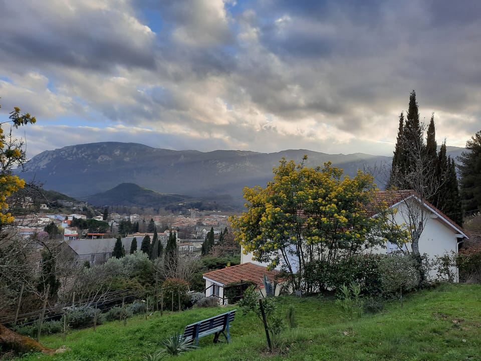 View from property