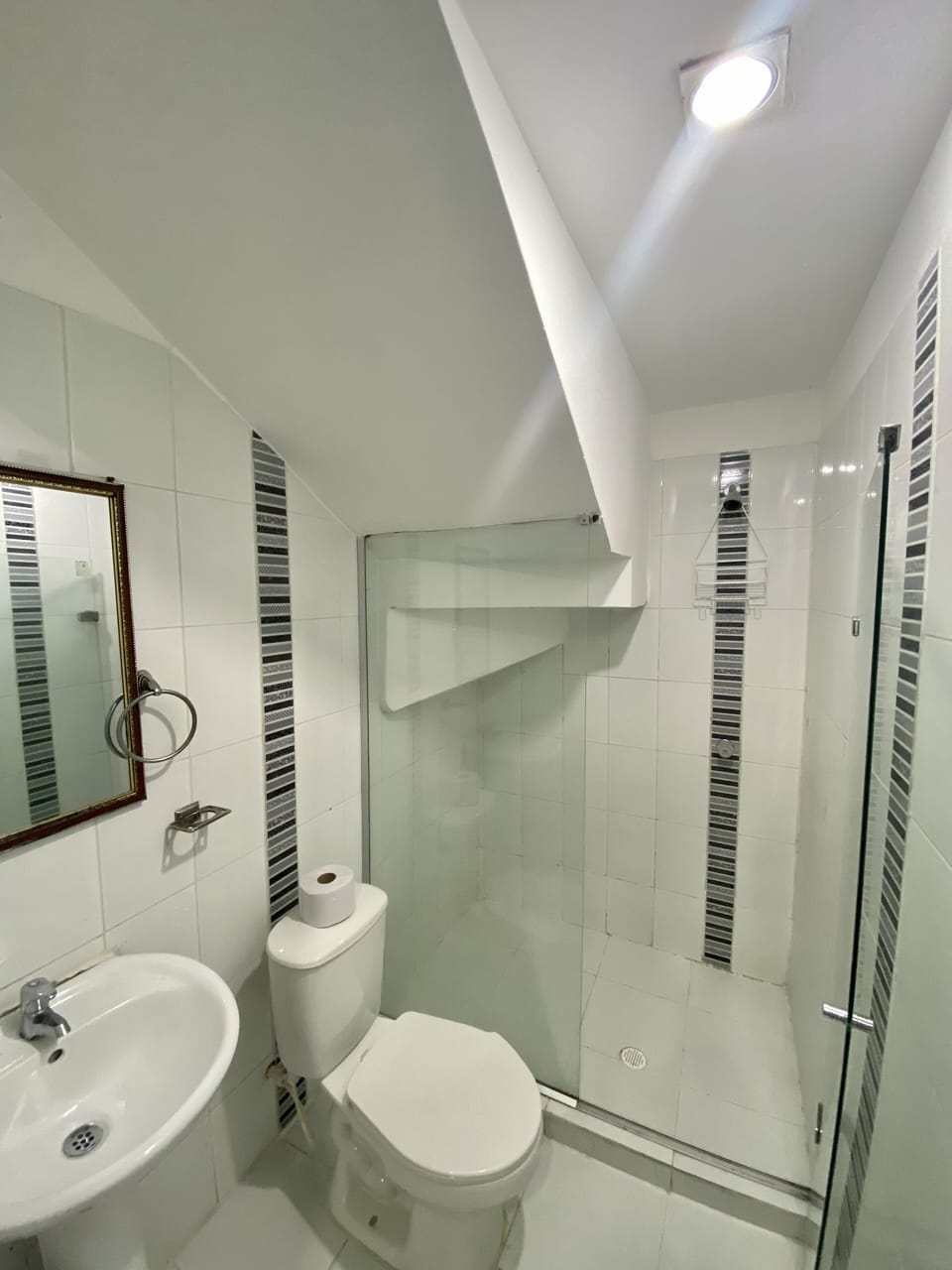 Superior Triple Room | Bathroom | Shower, free toiletries, towels
