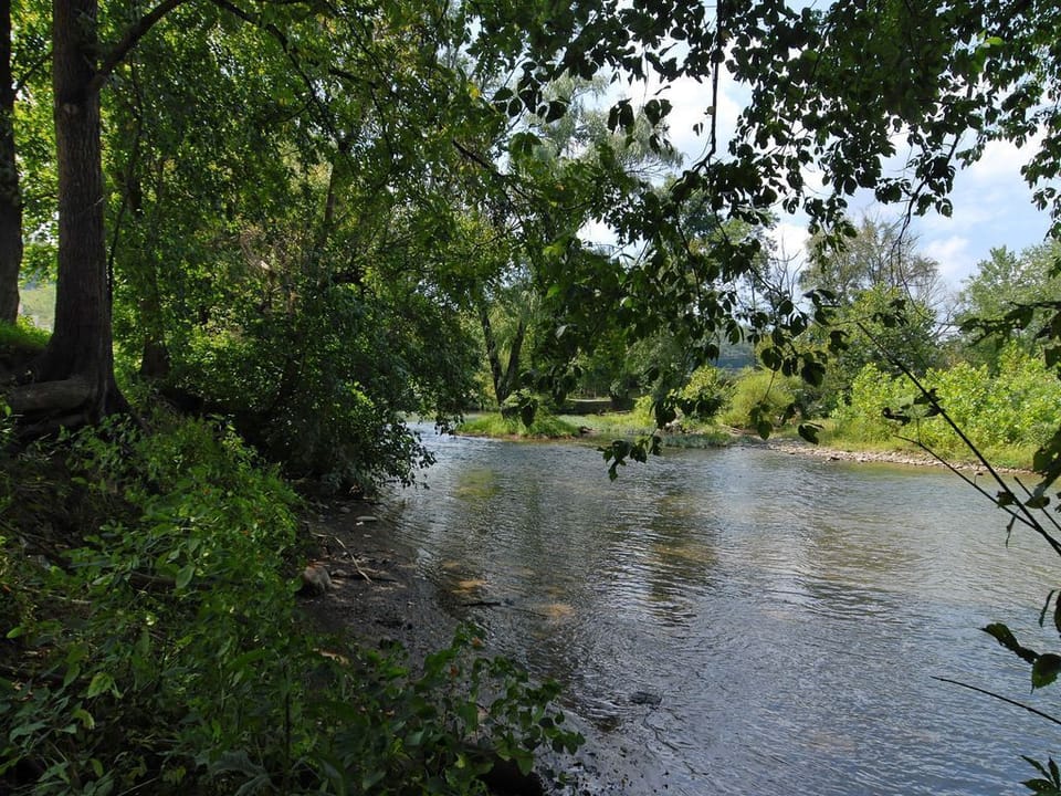 View of the Little Pigeon River from the banks behind Mountain River