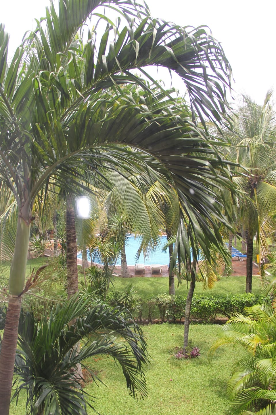 View from the Aparment to pool of condominum