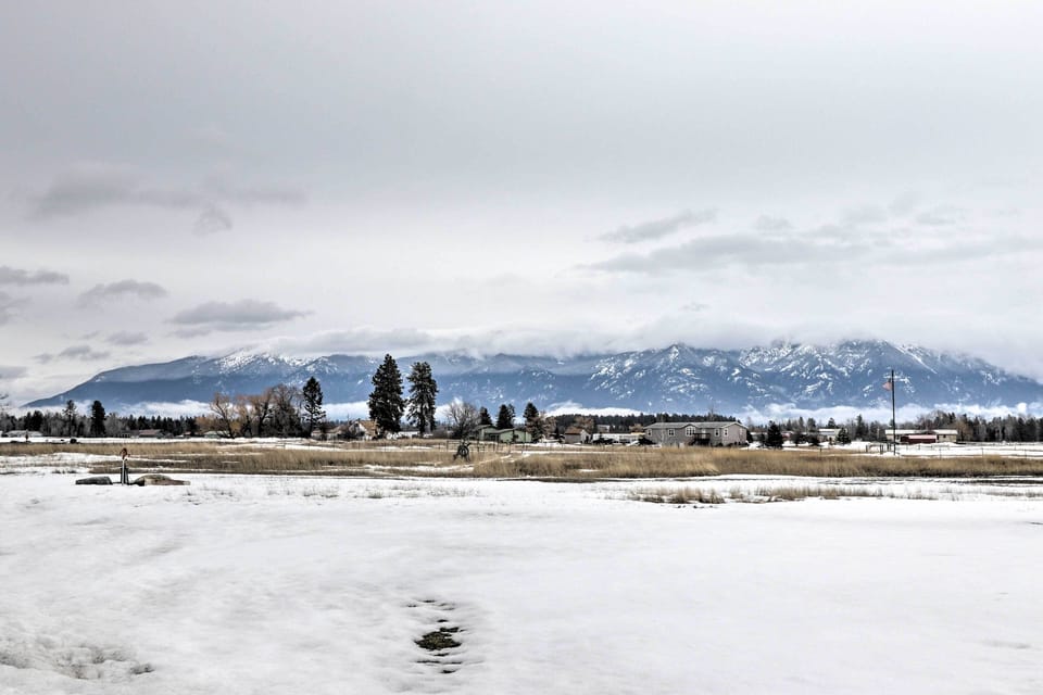 Winter Views