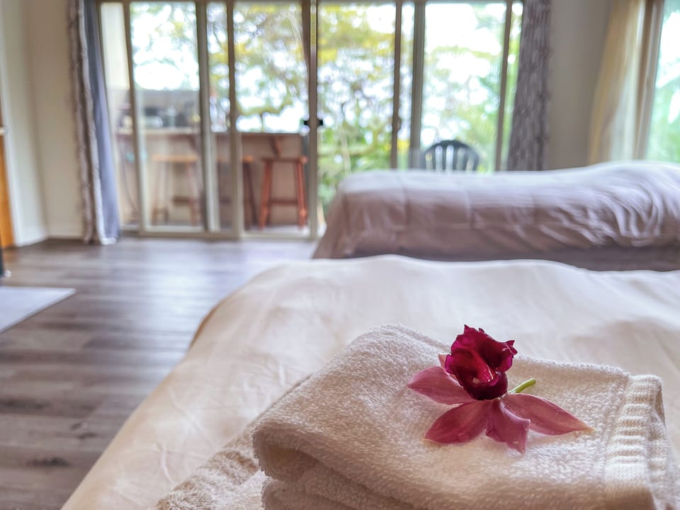 Sunset Suite | Down comforters, individually decorated, individually furnished