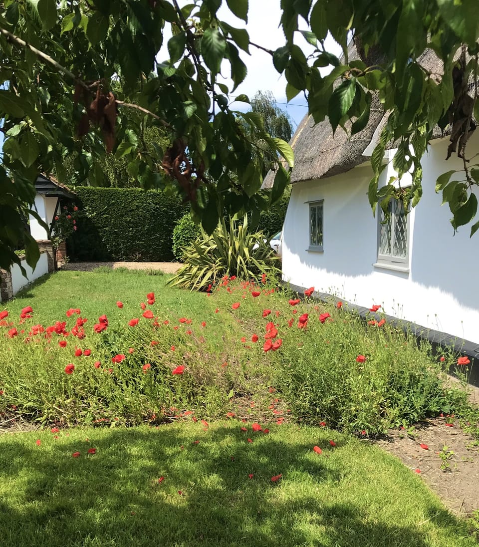 Front garden