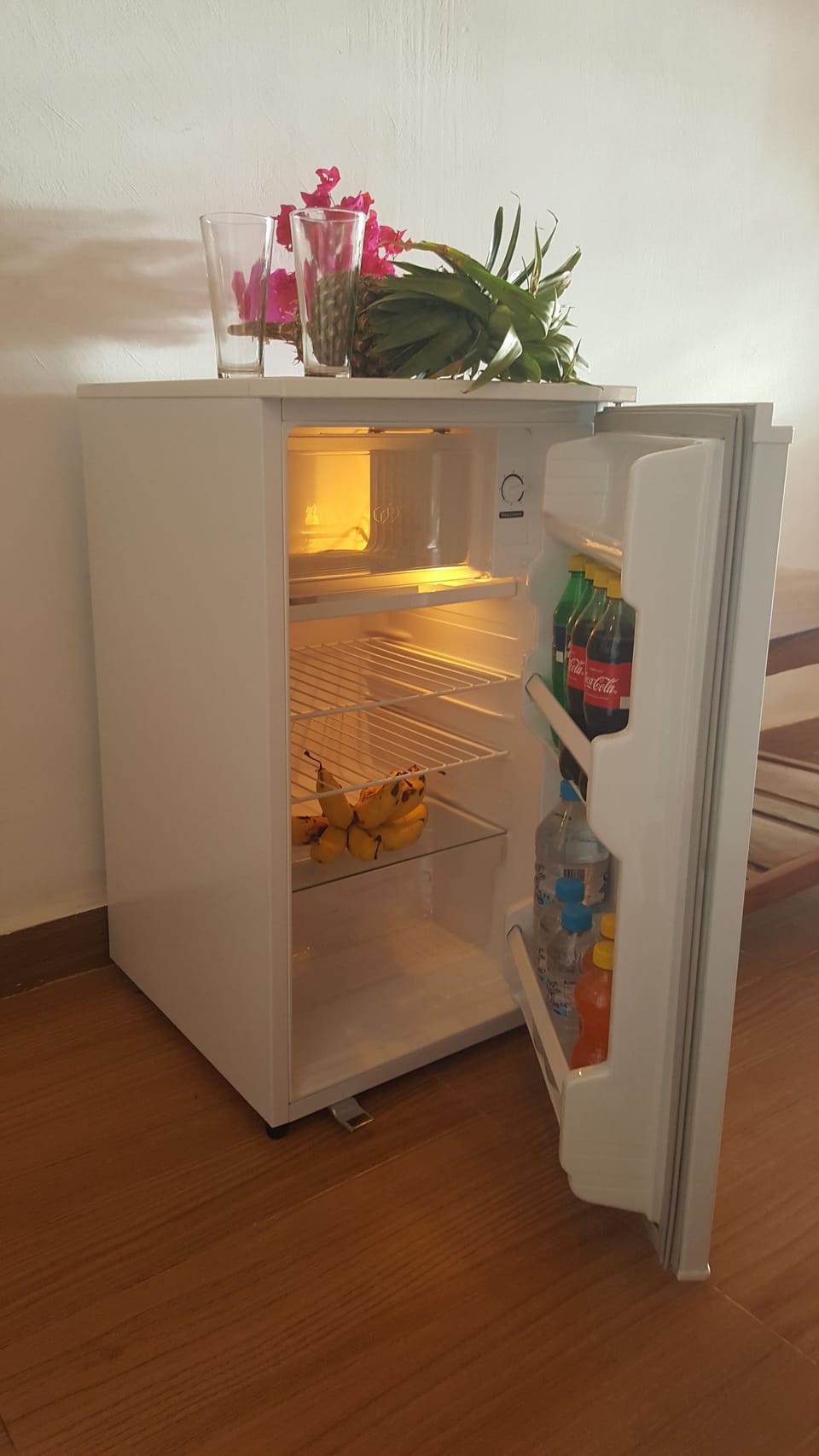 Mini-refrigerator