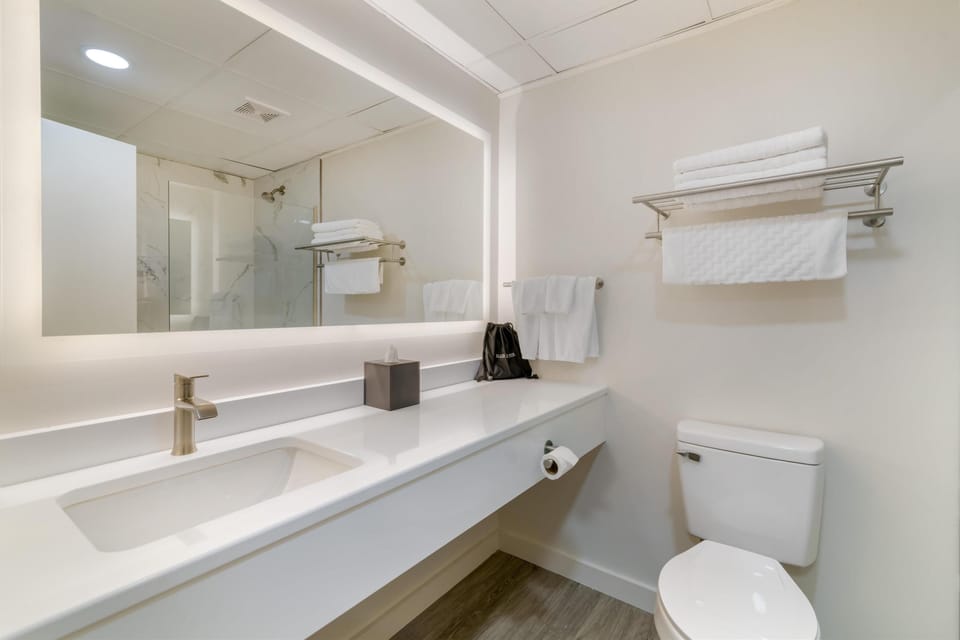 Suite, 1 King Bed, Non Smoking, Kitchenette (Dining Table;with Single Sofabed) | Bathroom | Free toiletries, hair dryer, towels, soap