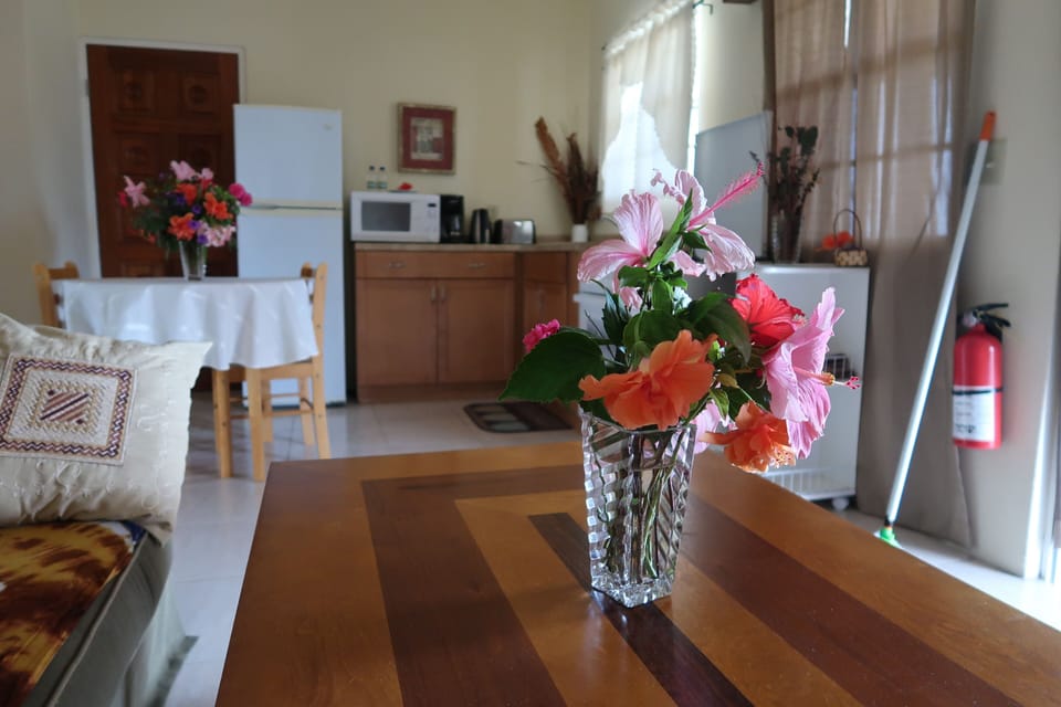 Living, dining, kitchen  area. 