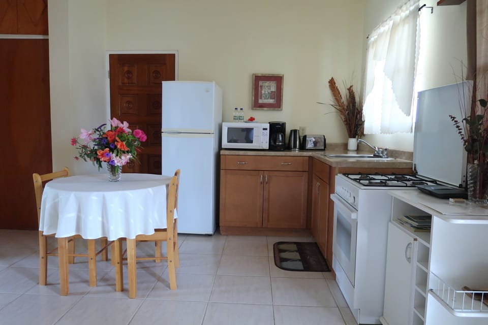 Dining and kitchen area 