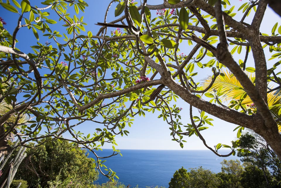 SW view from Lower Unit Deck