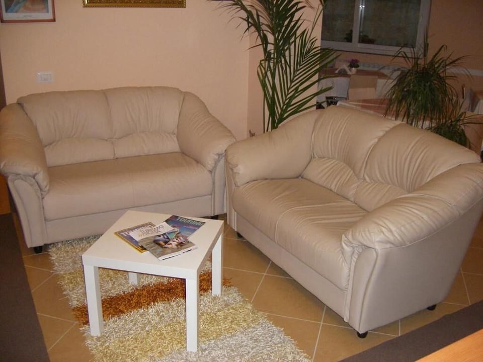 Flat-screen TV
