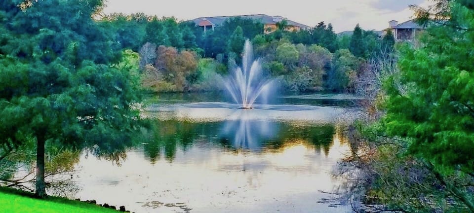 Tropical pond with natural wildlife on resort grounds