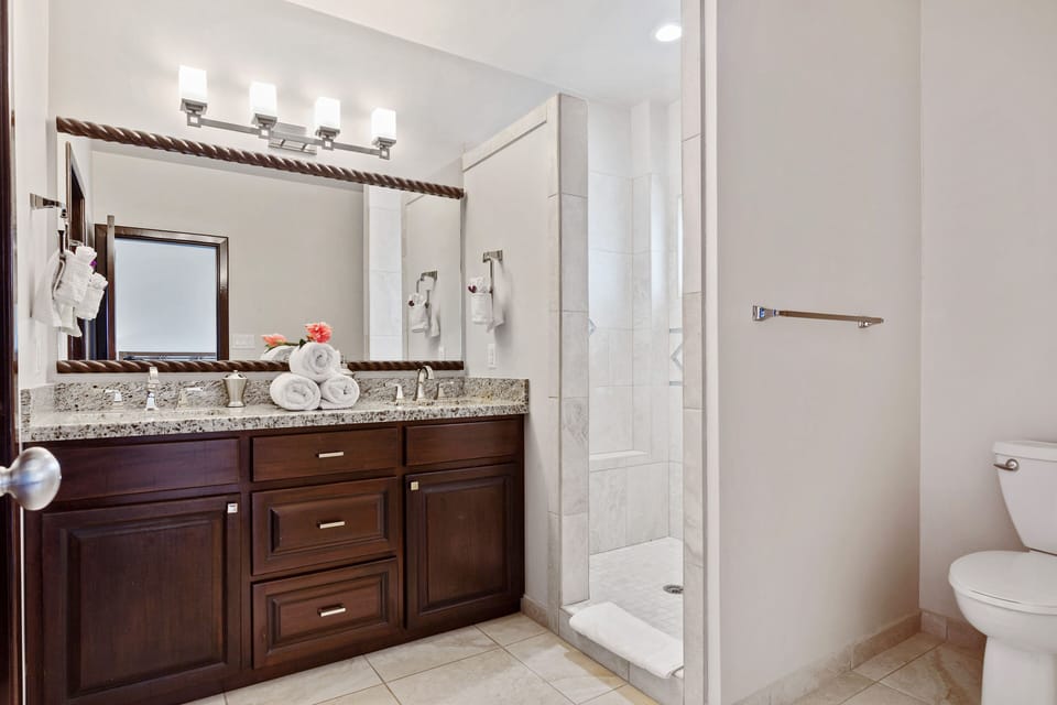 Master bath (2nd floor) with large vanity, oversized shower