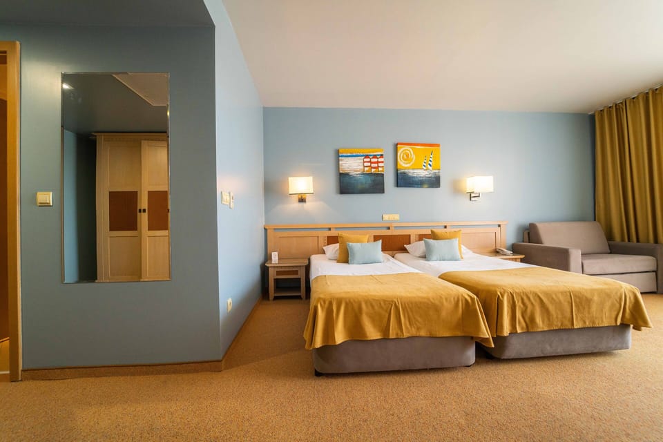 Standard Double Room, Park View | Minibar, in-room safe, desk, soundproofing