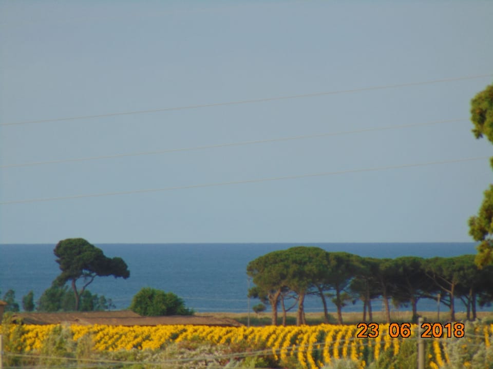 Land view from property