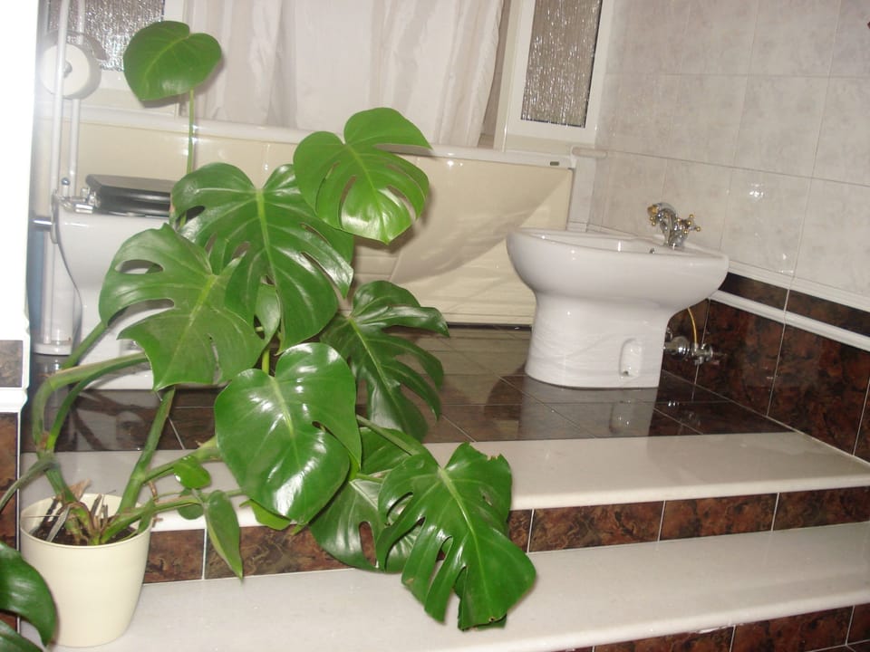 Junior Suite | Private spa tub