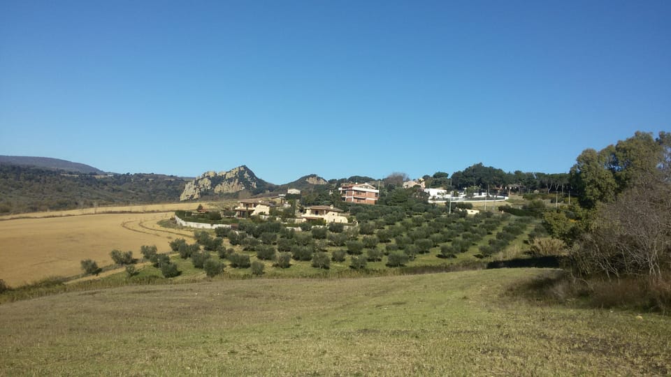 Land view from property