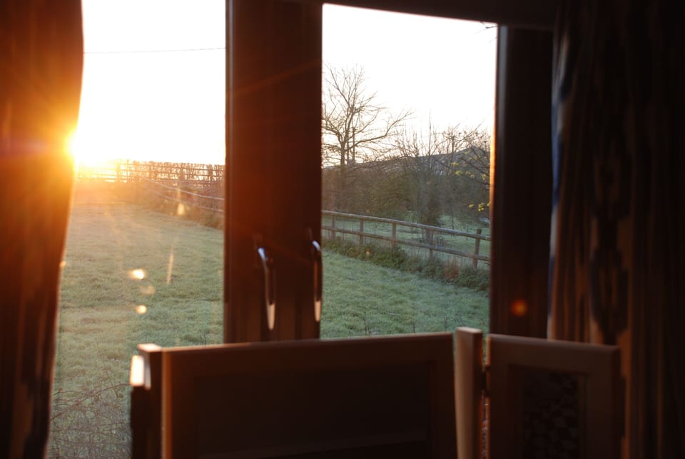 Studio, Private Bathroom, Courtyard View | View from property