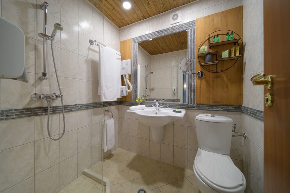 Shower, free toiletries, hair dryer, towels