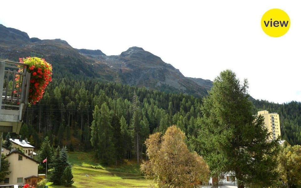 Scenery