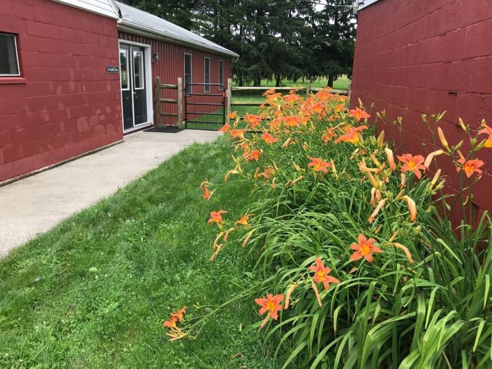 Nice flower and veg gardens to see--at least when I can keep up with  them.