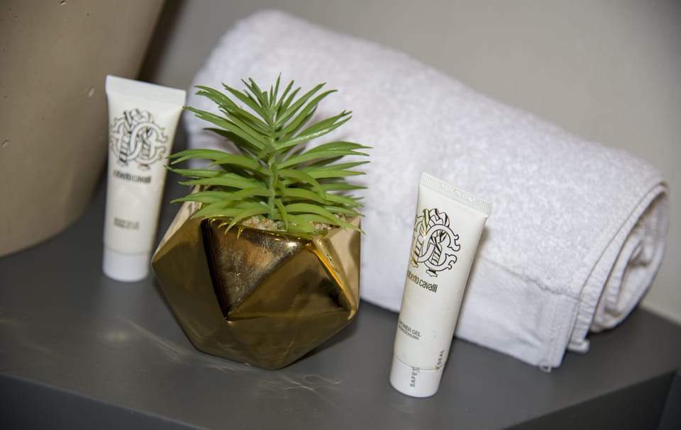 Shower, free toiletries, hair dryer, slippers