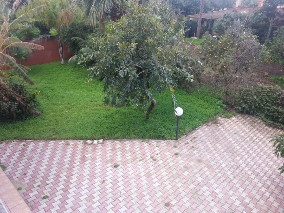 Garden, Park