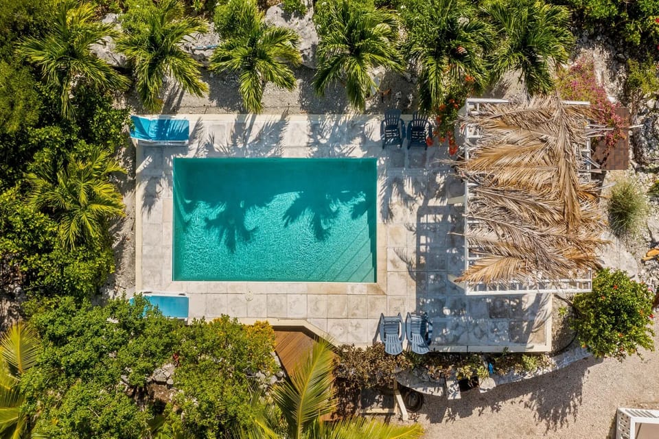 Bird's eye view of pool.