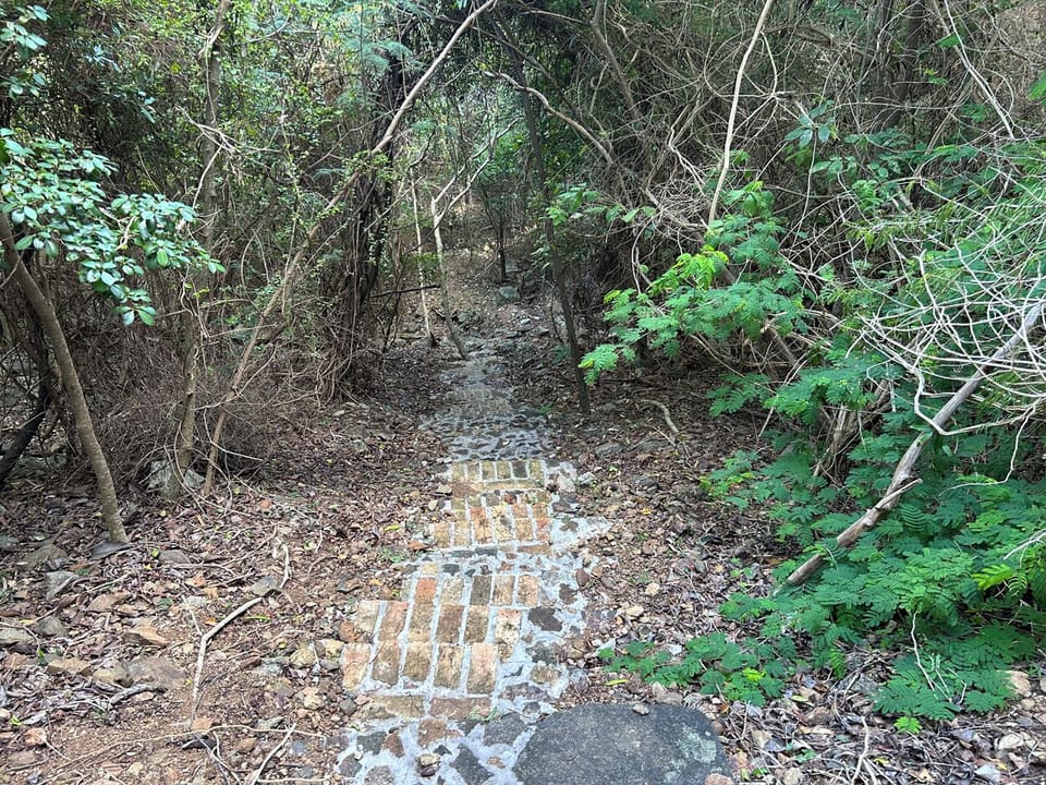And the path continues on through the vegetation as you hike to the beach