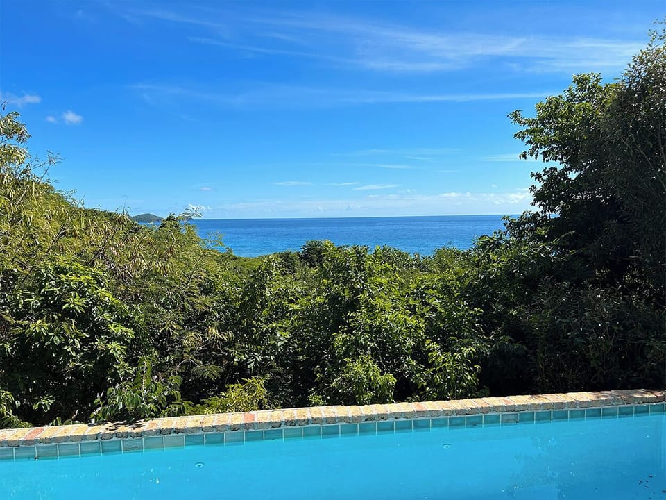 Your view from the pool 