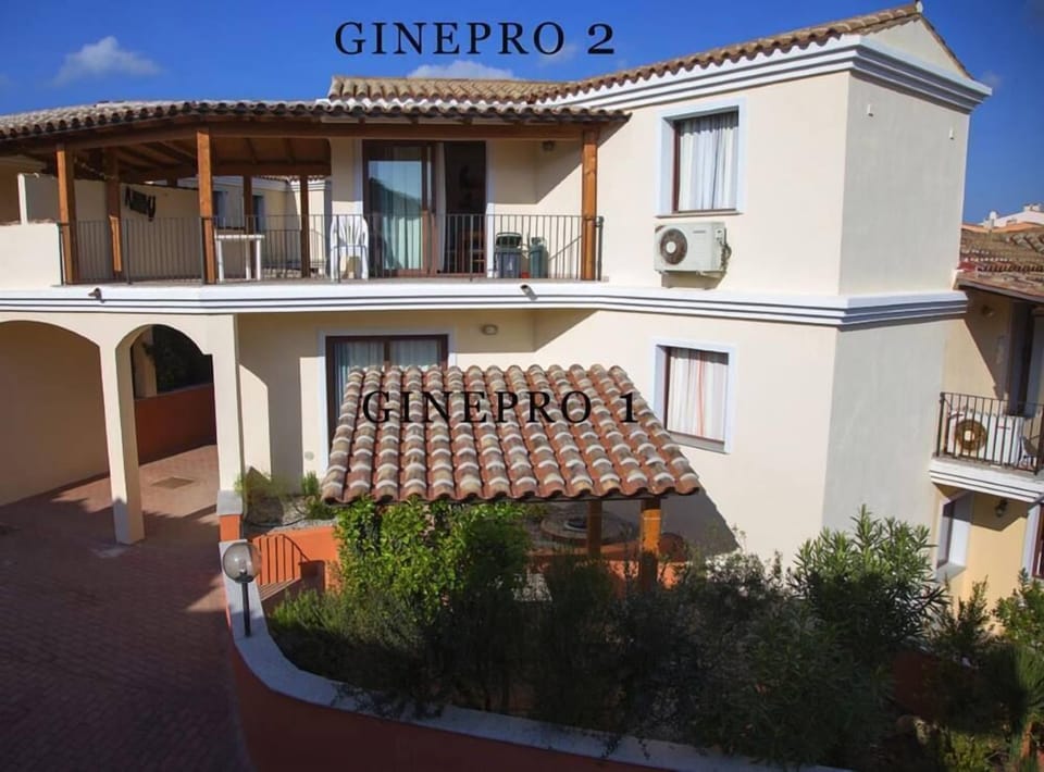 Ginepro 2