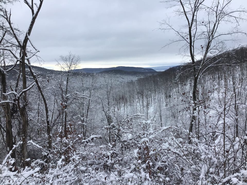 Peaceful winter landscape of the Bald Eagle Valley.